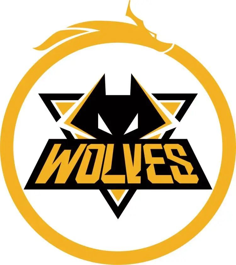 pain , 3DMAX , MIBR , GamerLegion 在 IEM Katowice 2025 预选赛中赢得了他们的首场比赛